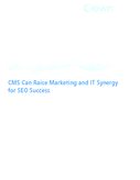 CMS Can Raise Marketing and IT Synergy for SEO Success